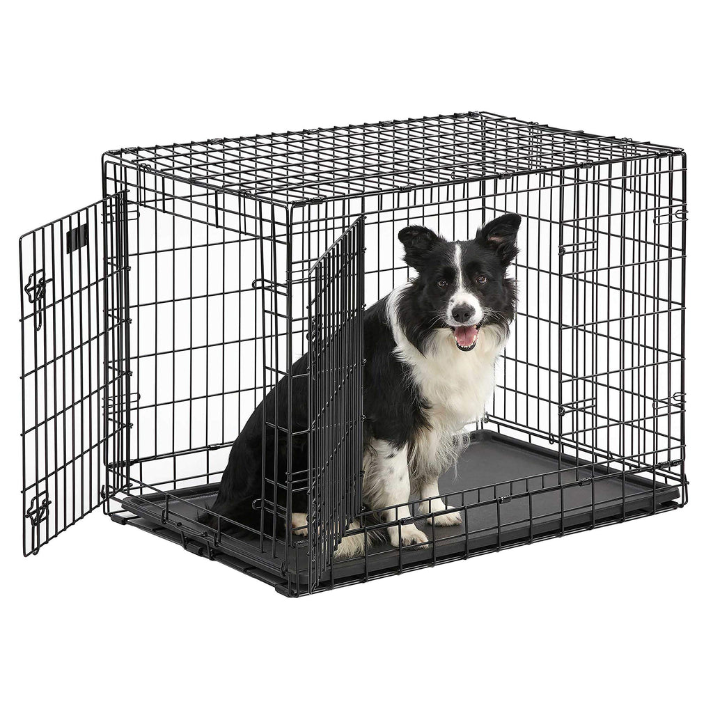 36-Inch Double Door Dog Crate T6749